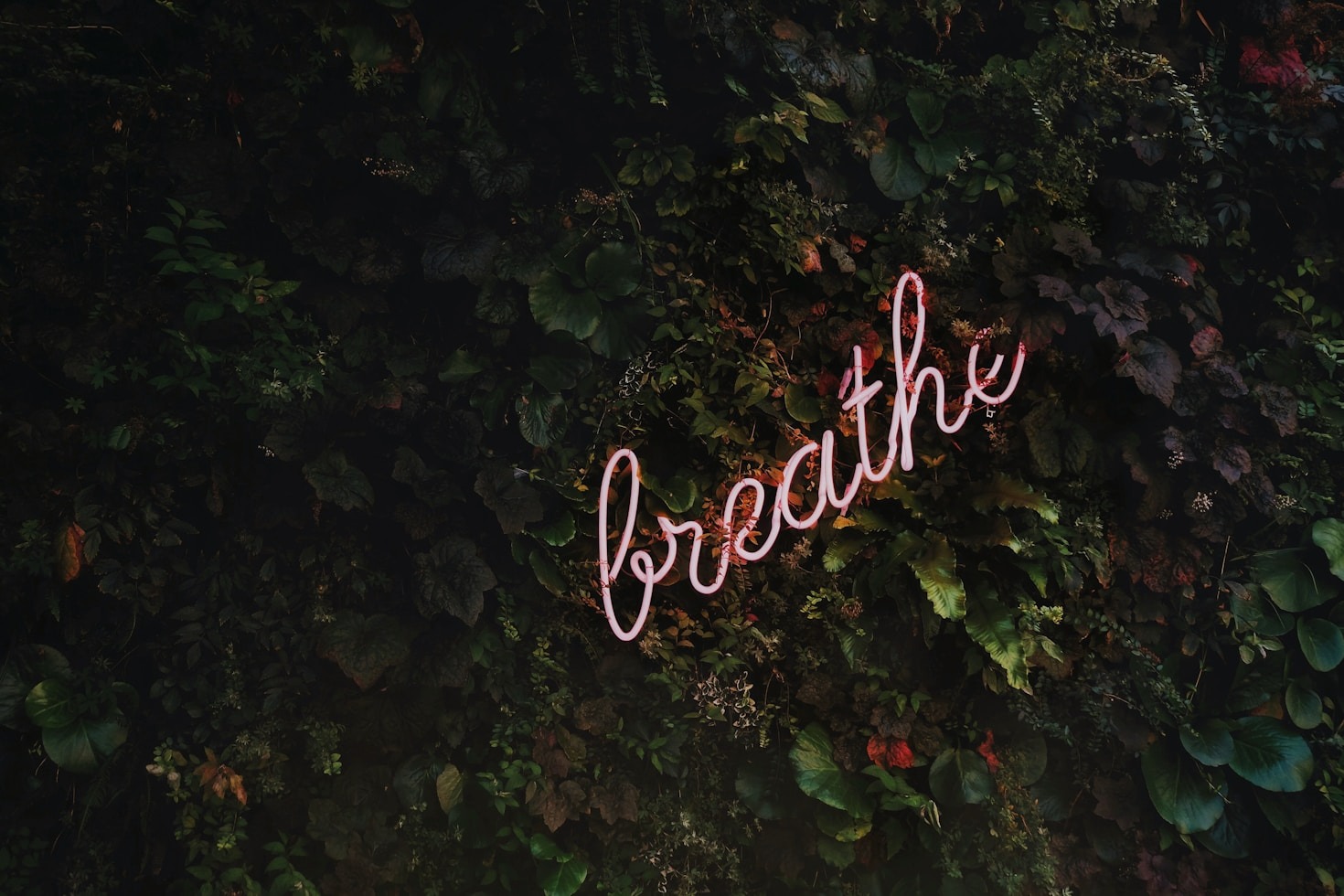 Printable Tools for Cultivating a Free Mindset
